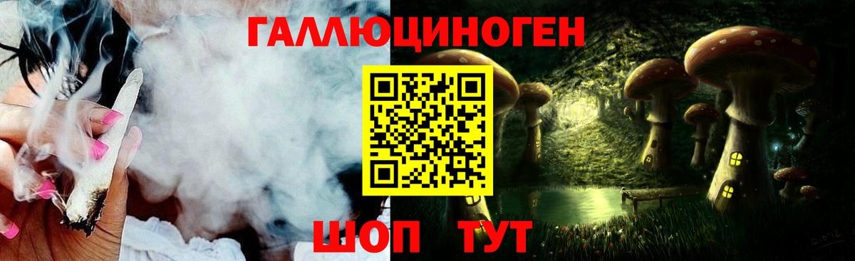 Псилоцибиновые грибы Psilocybe Сафоново